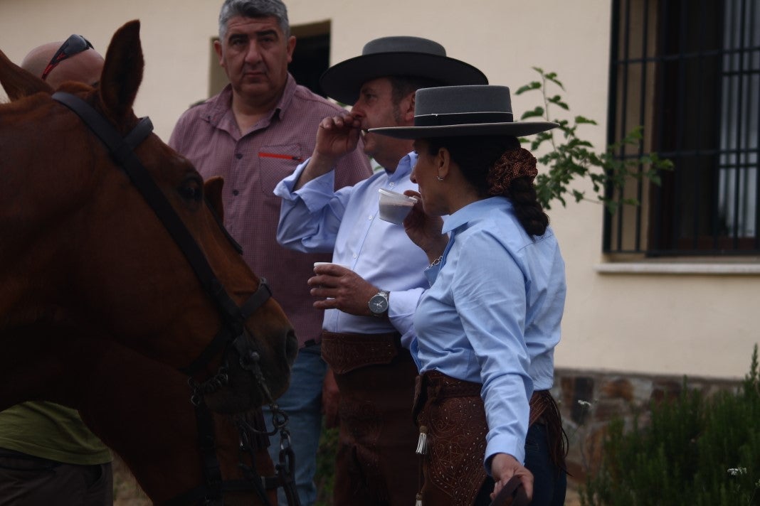 Fotos: XI 'Vive la Trashumancia' y III 'Feria del Queso Artesano' (IV)