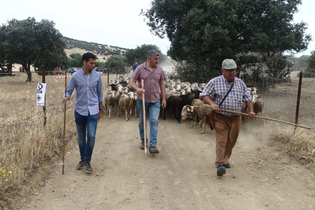 Fotos: XI &#039;Vive la Trashumancia&#039; y III &#039;Feria del Queso Artesano&#039; (IV)