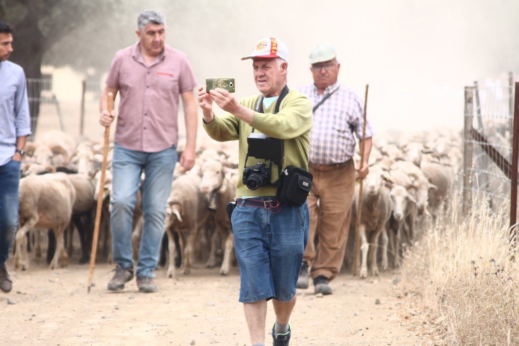 Fotos: XI 'Vive la Trashumancia' y III 'Feria del Queso Artesano' (IV)
