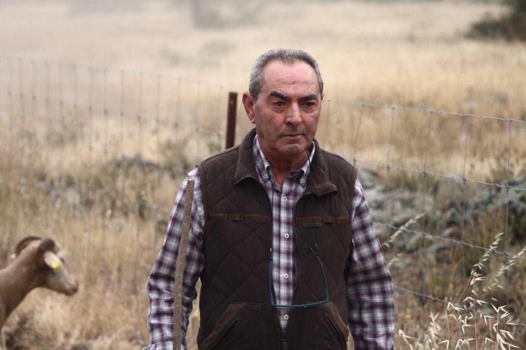 Fotos: XI 'Vive la Trashumancia' y III 'Feria del Queso Artesano' (IV)