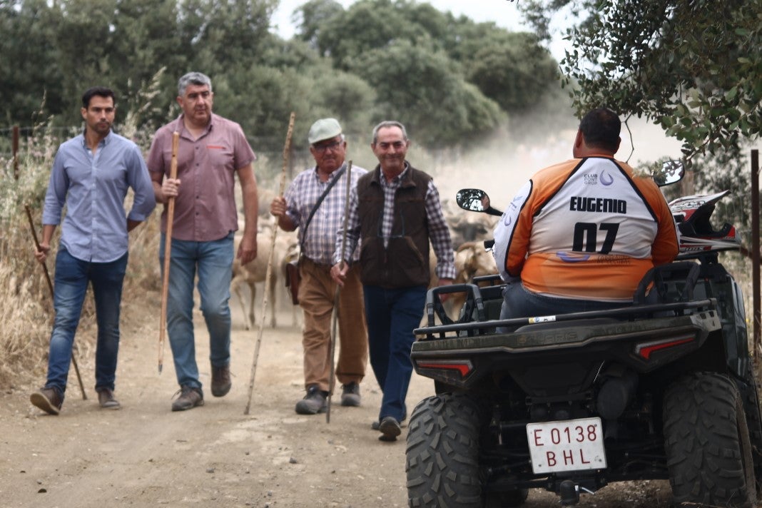 Fotos: XI 'Vive la Trashumancia' y III 'Feria del Queso Artesano' (IV)