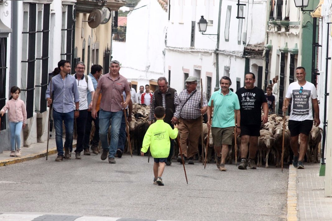 Fotos: XI 'Vive la Trashumancia' y III 'Feria del Queso Artesano' (IV)