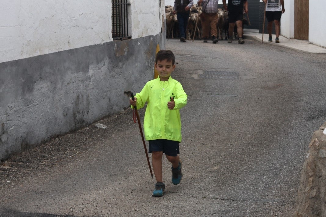 Fotos: XI 'Vive la Trashumancia' y III 'Feria del Queso Artesano' (IV)