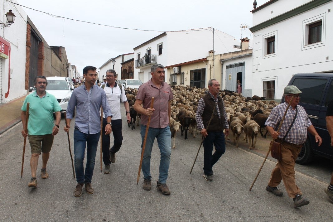 Fotos: XI 'Vive la Trashumancia' y III 'Feria del Queso Artesano' (IV)