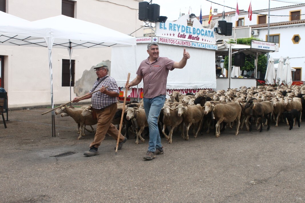 Fotos: XI &#039;Vive la Trashumancia&#039; y III &#039;Feria del Queso Artesano&#039; (IV)