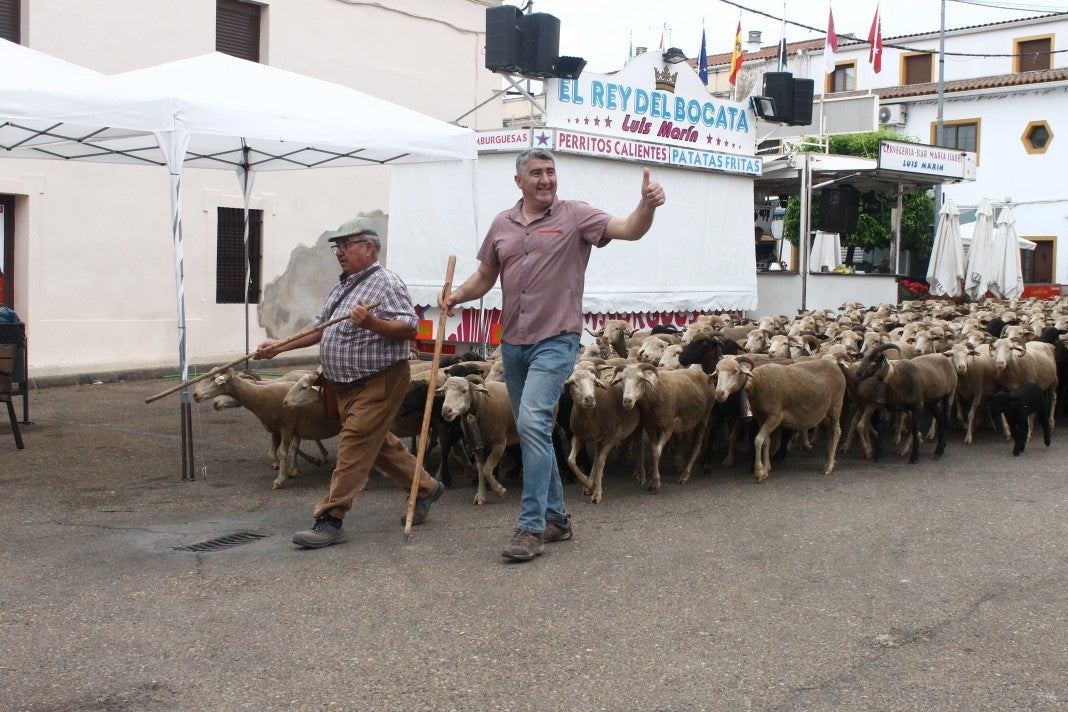 Fotos: XI 'Vive la Trashumancia' y III 'Feria del Queso Artesano' (IV)