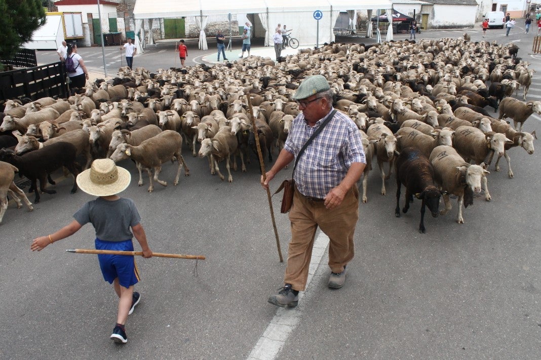 Fotos: XI 'Vive la Trashumancia' y III 'Feria del Queso Artesano' (IV)