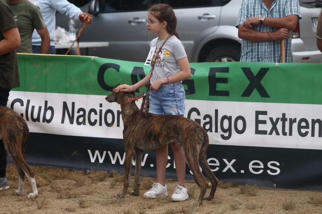 Fotos: XI 'Vive la Trashumancia' y III 'Feria del Queso Artesano' (V)