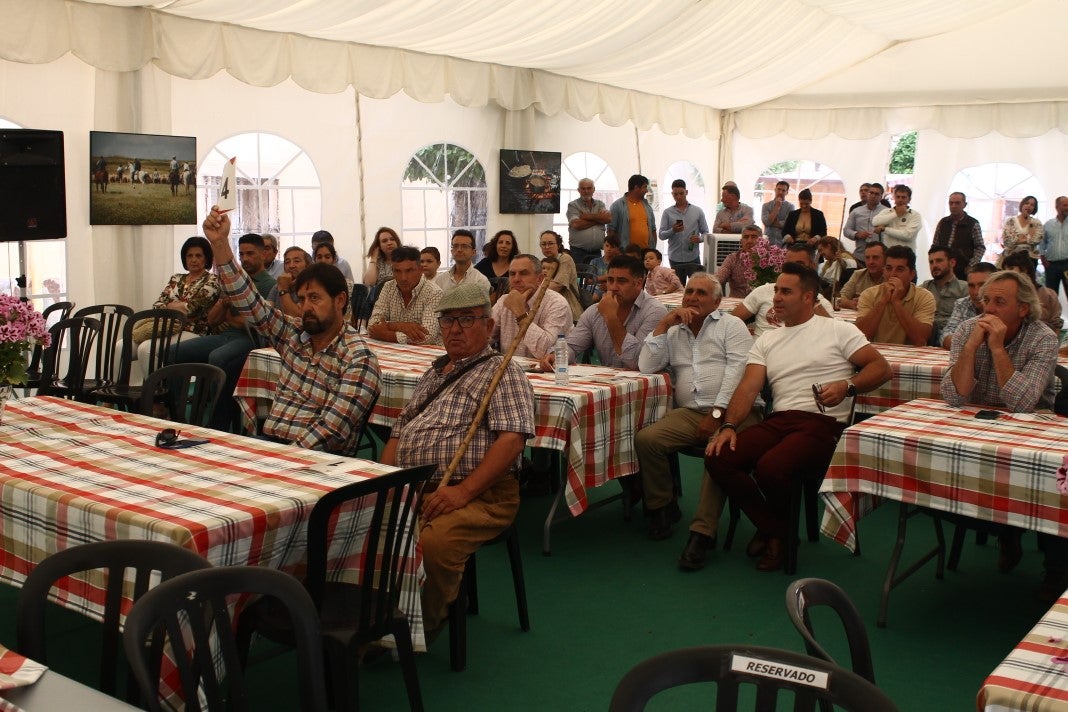 Fotos: XI 'Vive la Trashumancia' y III 'Feria del Queso Artesano' (V)