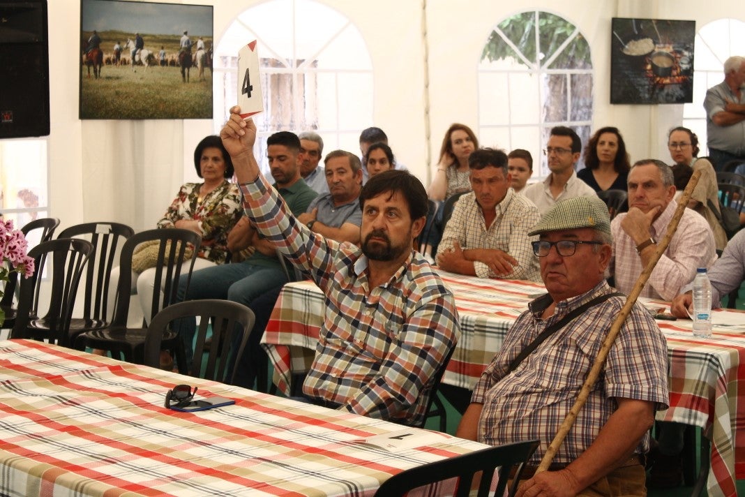 Fotos: XI 'Vive la Trashumancia' y III 'Feria del Queso Artesano' (V)