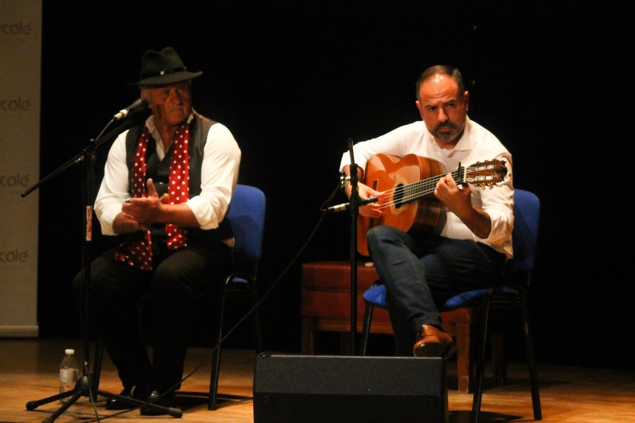 Fotos: Festival Flamenco Valverde de Leganés