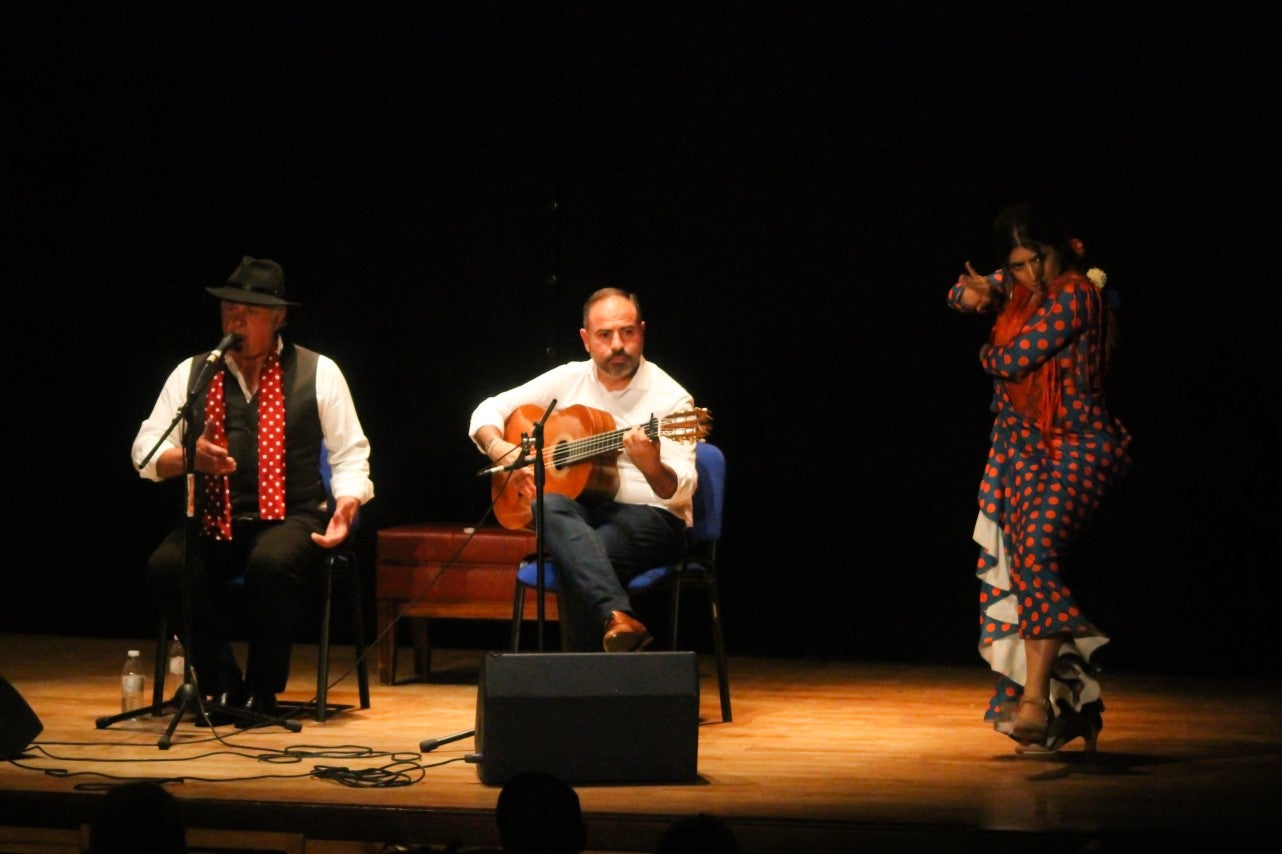 Fotos: Festival Flamenco Valverde de Leganés