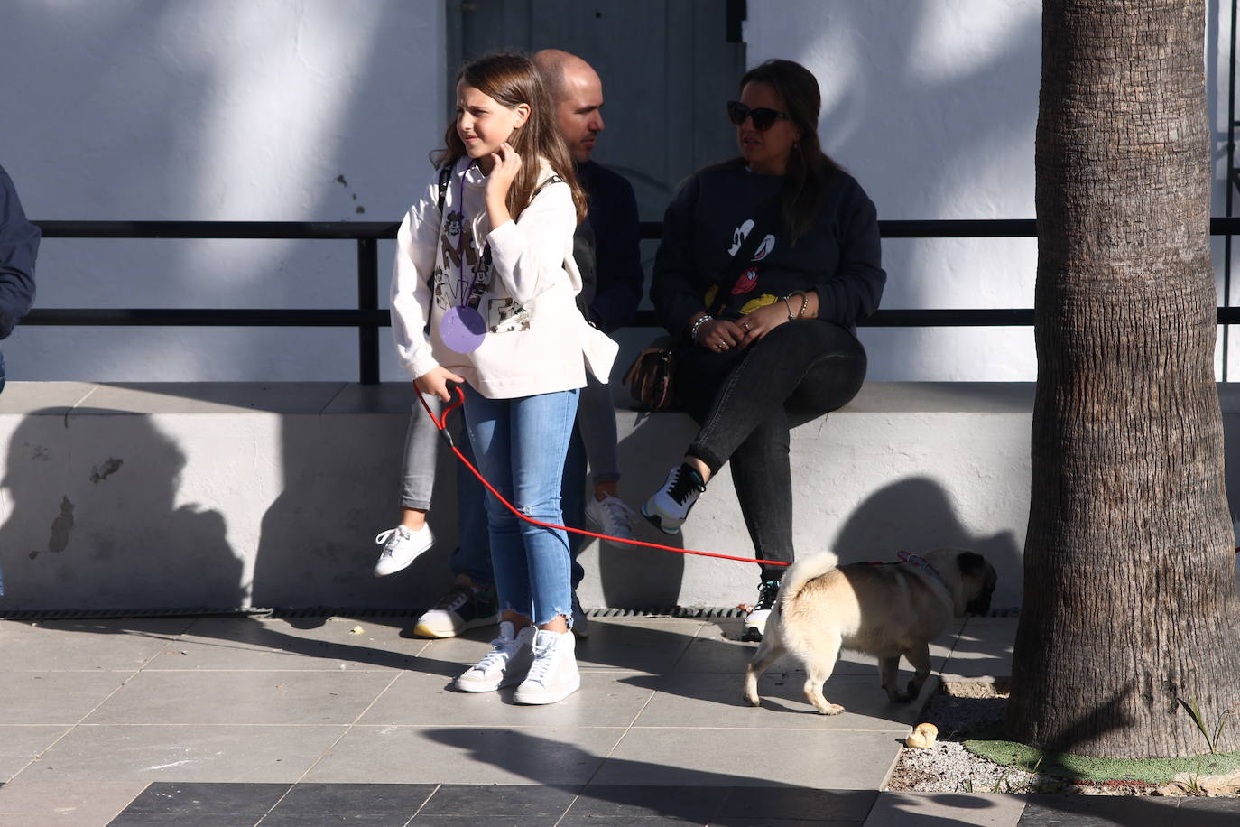 Fotos: III Desfile Canino