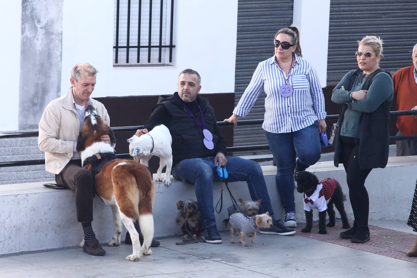 Fotos: III Desfile Canino