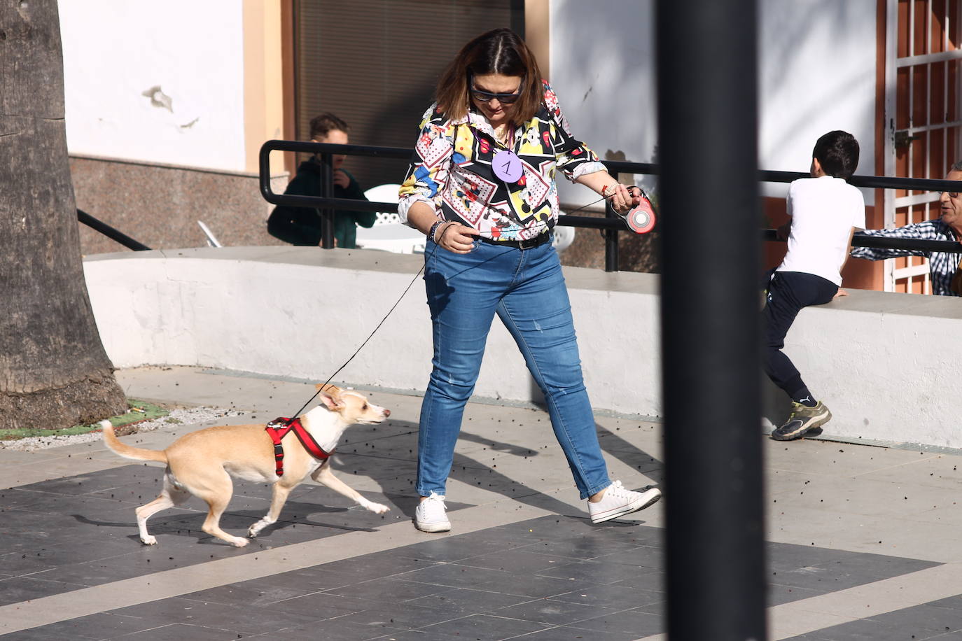 Fotos: III Desfile Canino