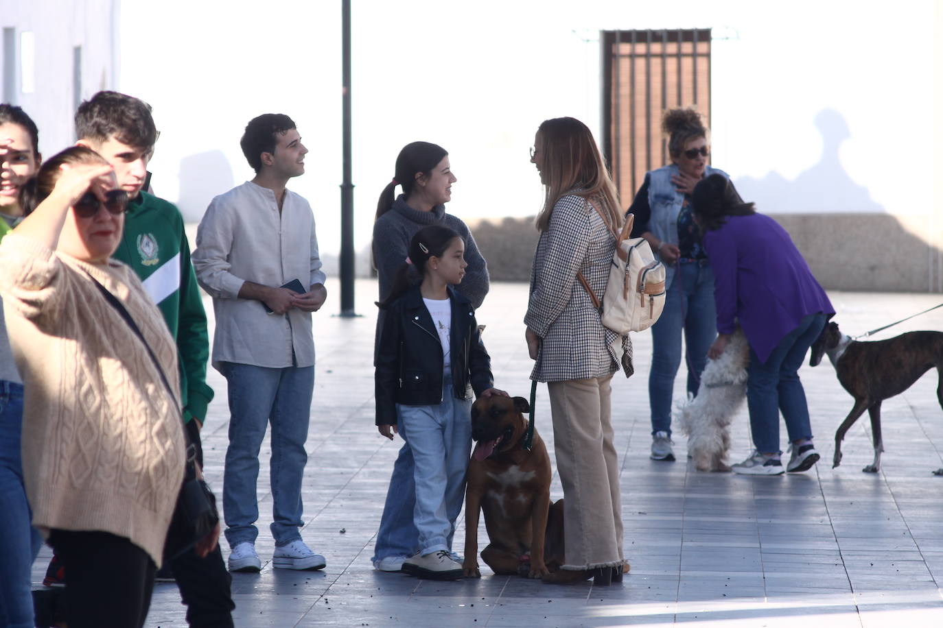 Fotos: III Desfile Canino
