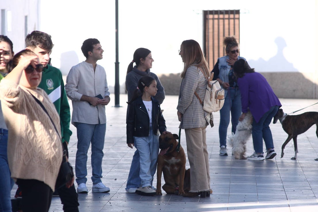 Fotos: III Desfile Canino