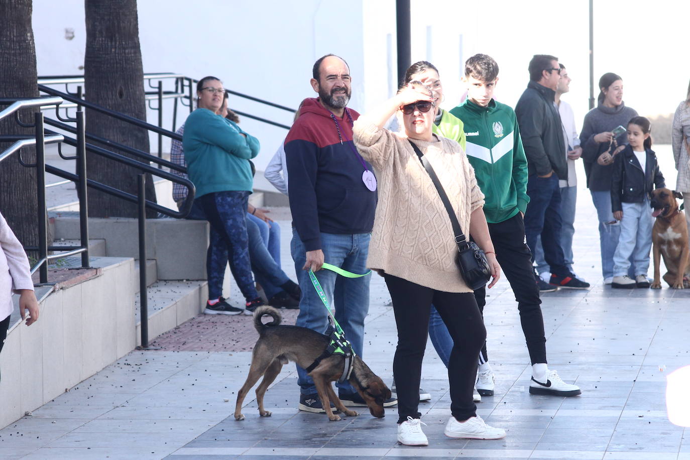 Fotos: III Desfile Canino