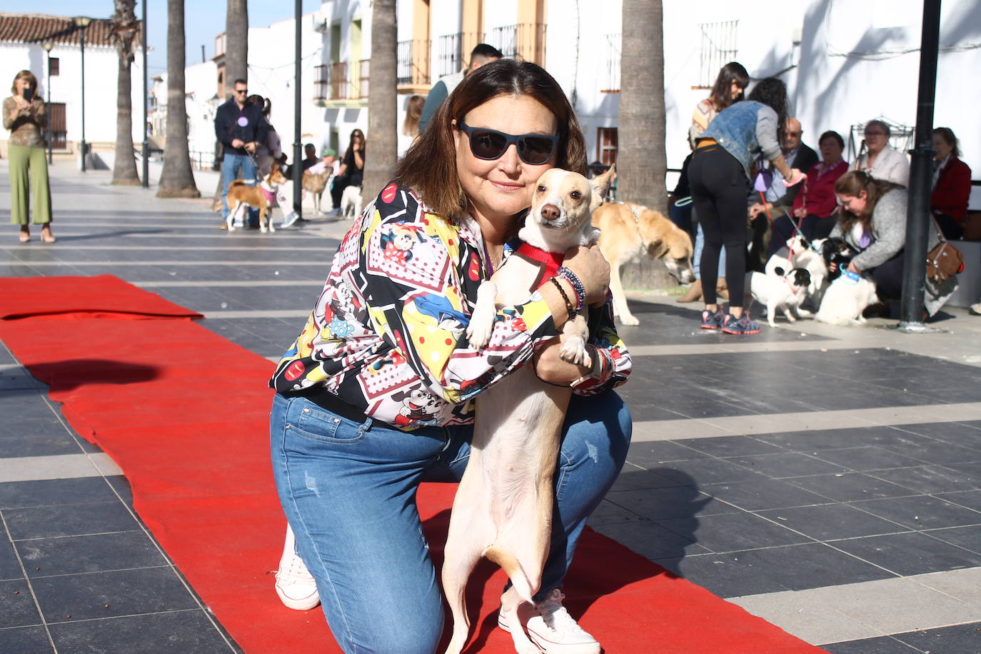 Fotos: III Desfile Canino