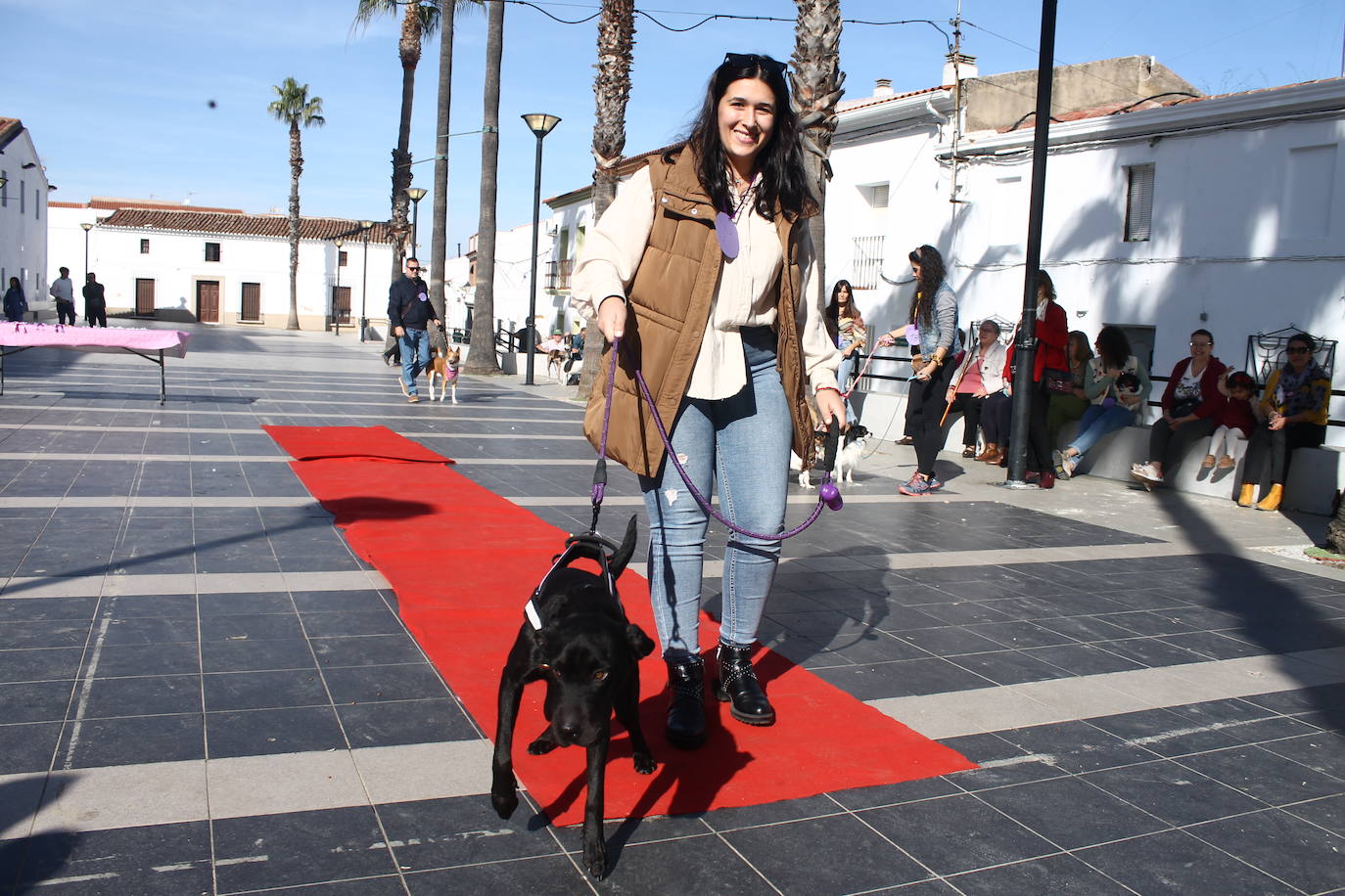 Fotos: III Desfile Canino