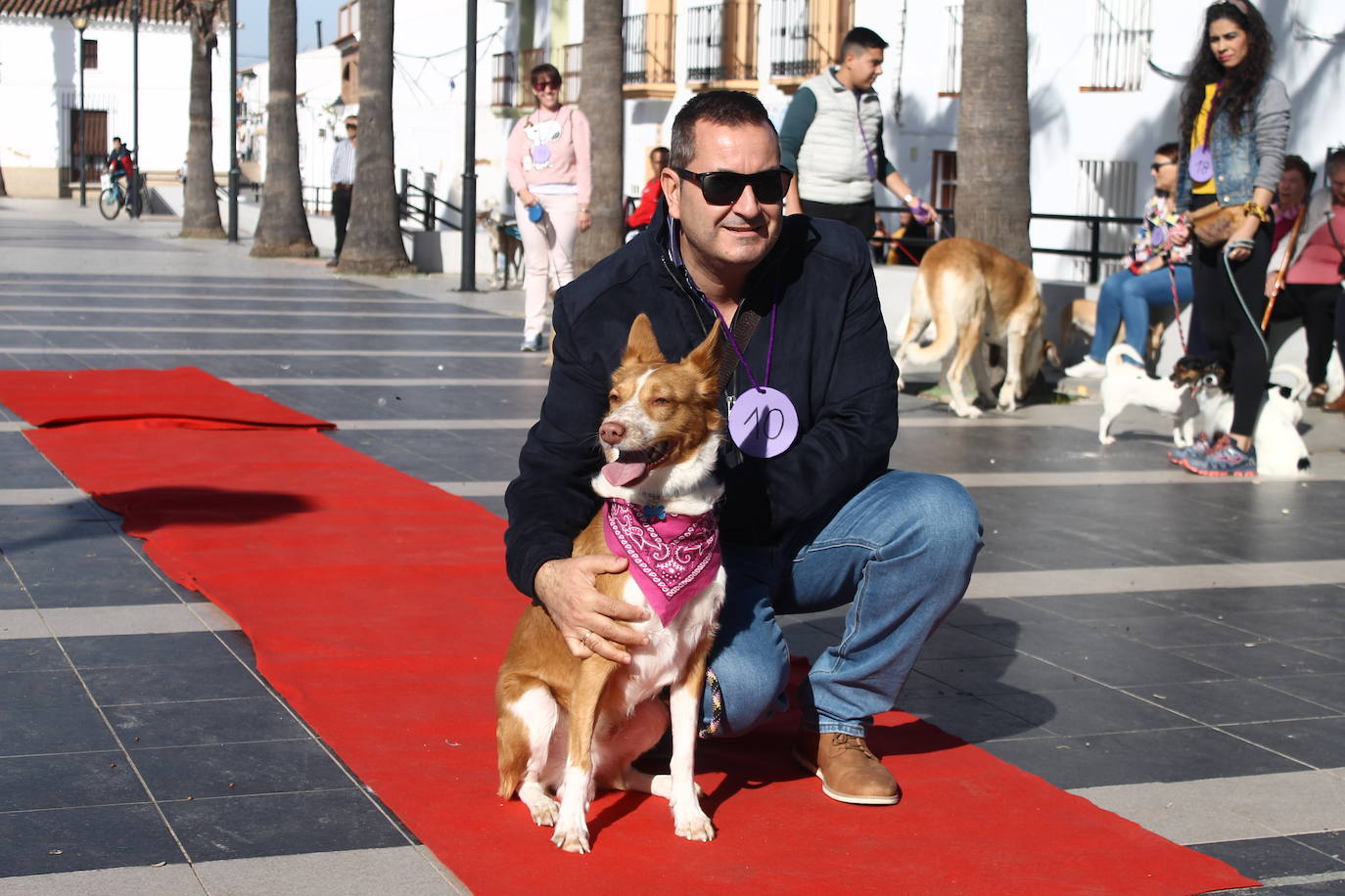 Fotos: III Desfile Canino