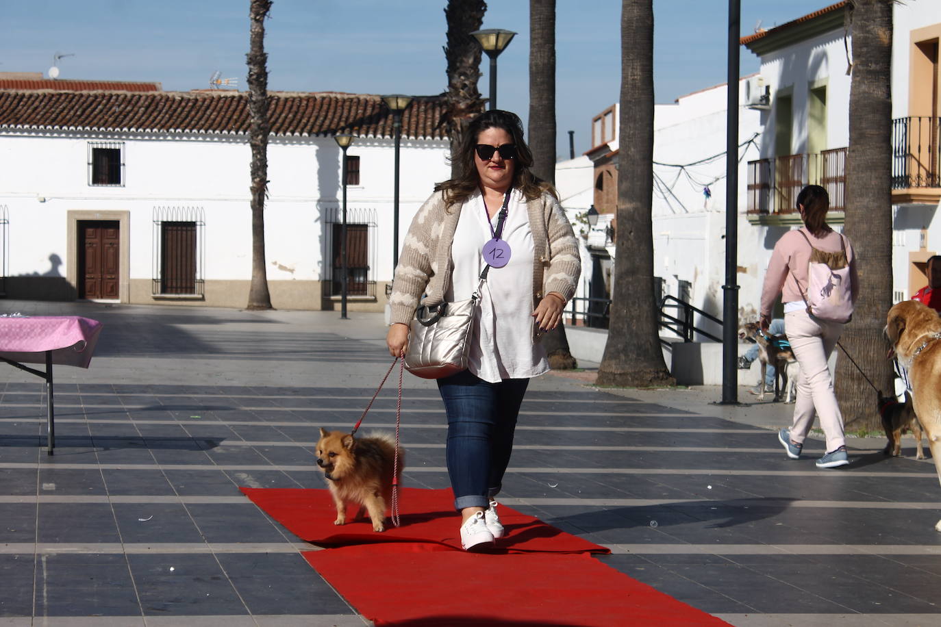 Fotos: III Desfile Canino