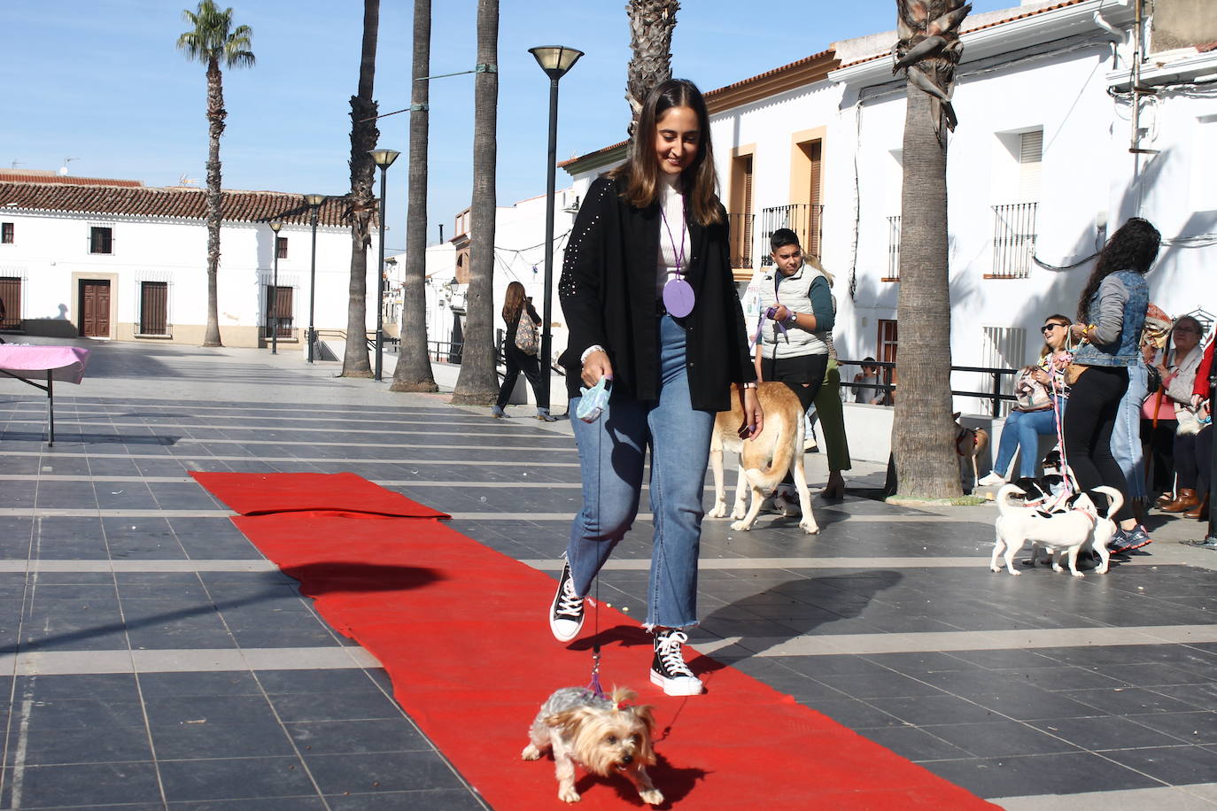 Fotos: III Desfile Canino