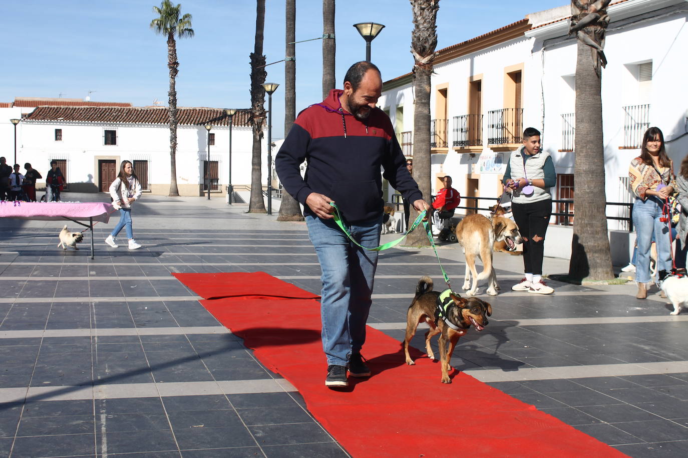 Fotos: III Desfile Canino