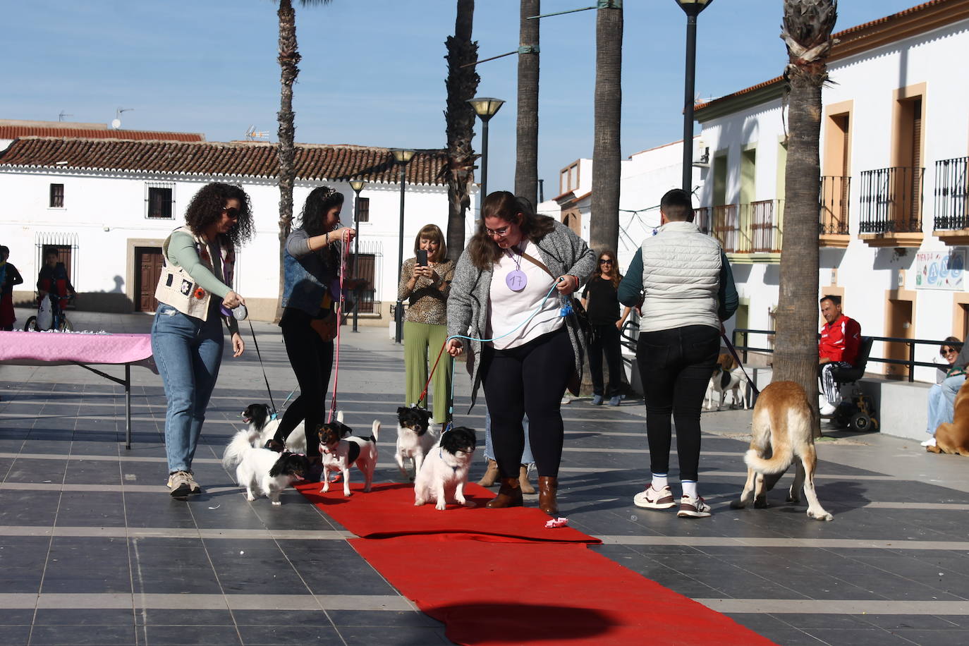 Fotos: III Desfile Canino