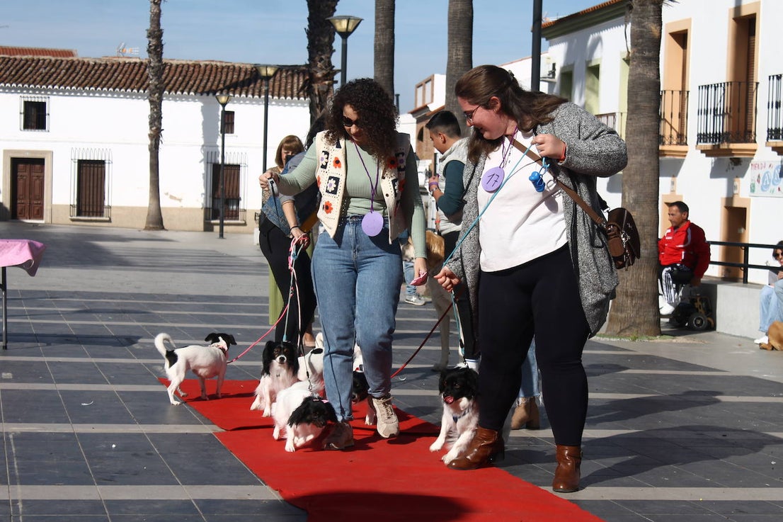 Fotos: III Desfile Canino
