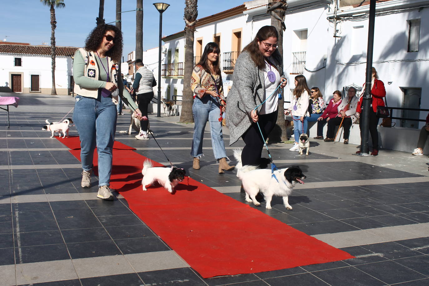Fotos: III Desfile Canino