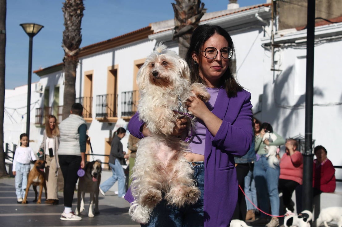 Fotos: III Desfile Canino