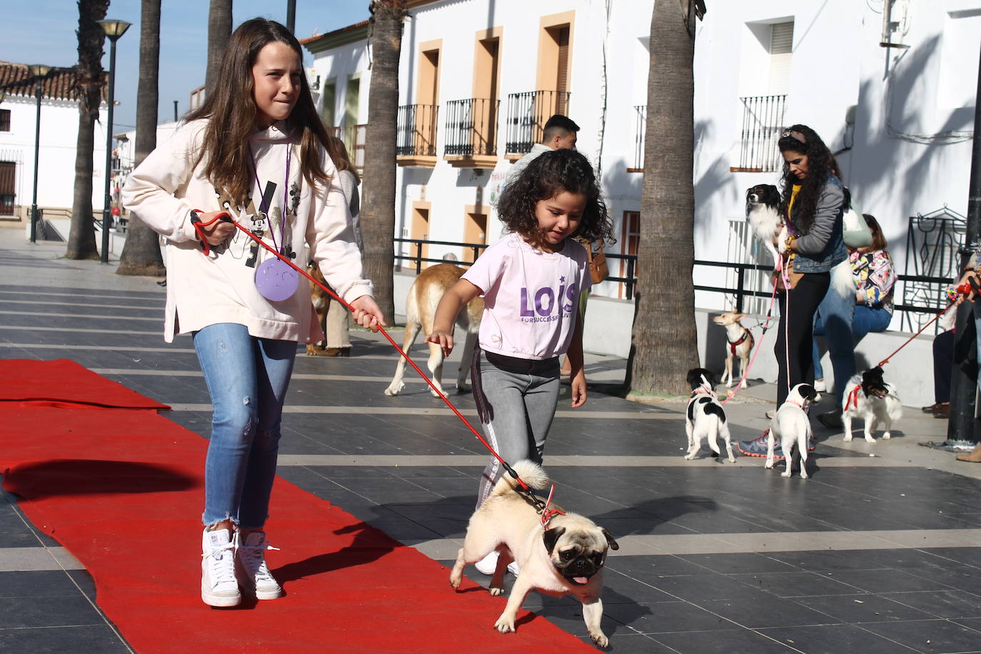 Fotos: III Desfile Canino
