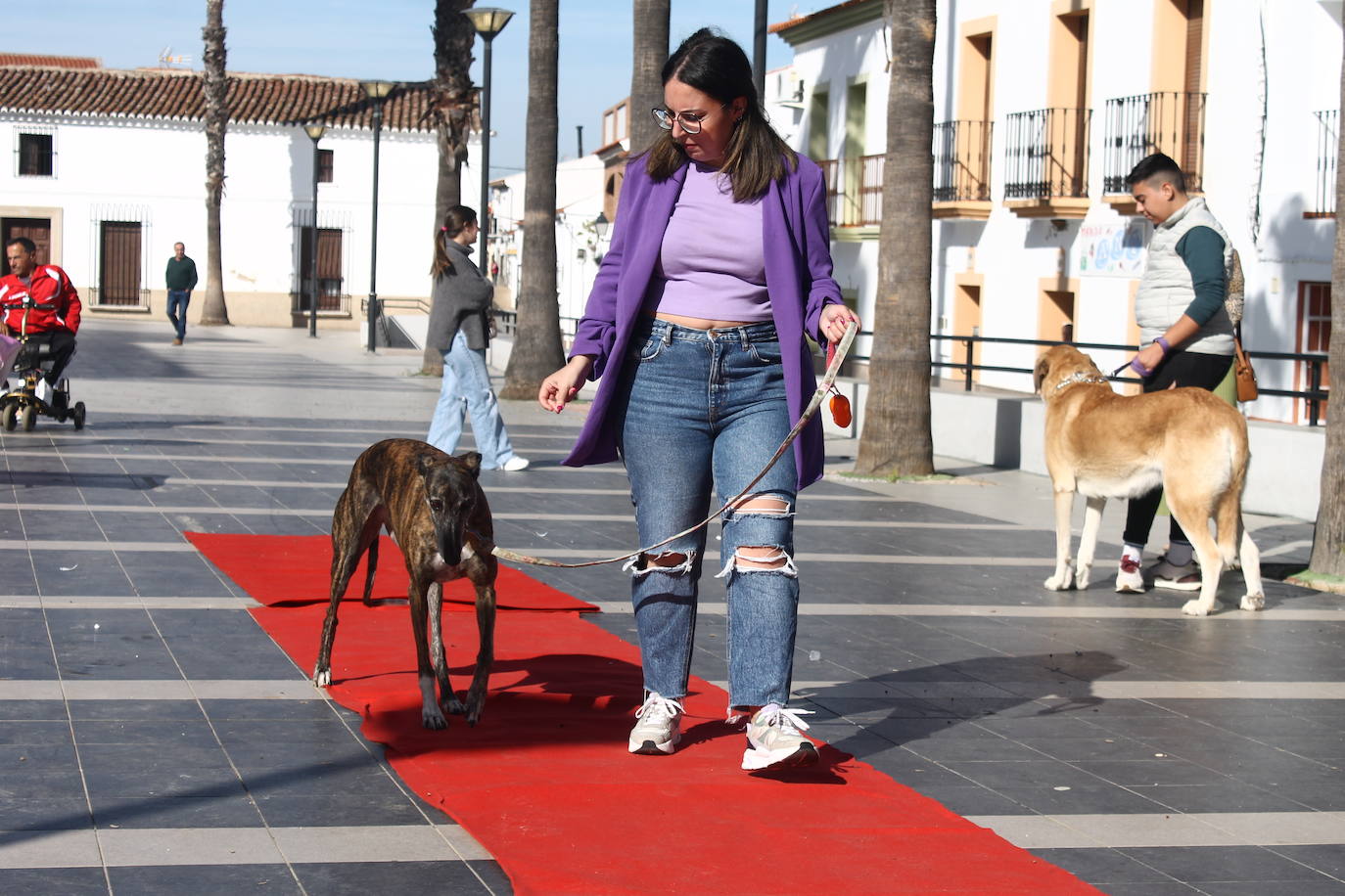 Fotos: III Desfile Canino