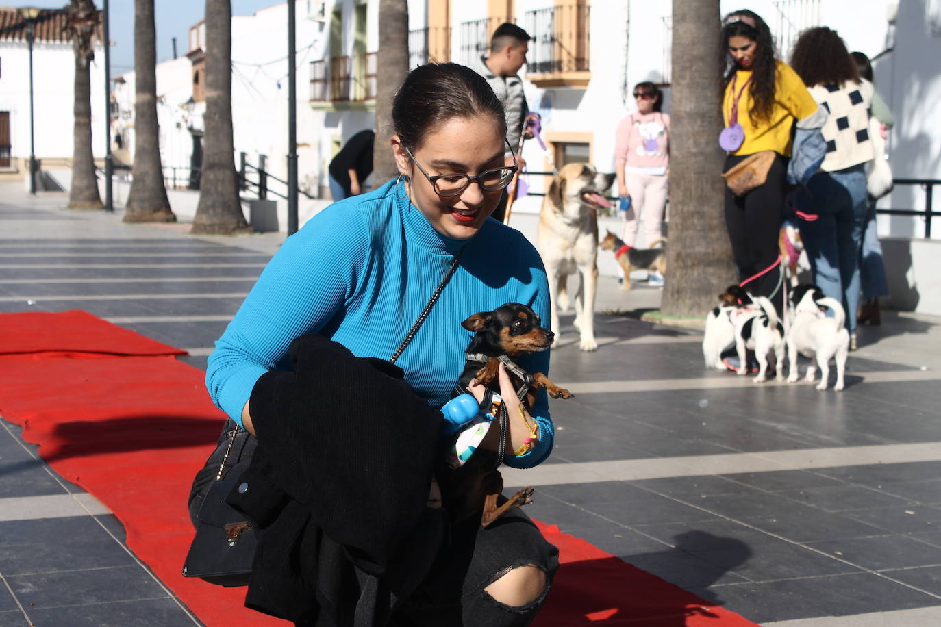 Fotos: III Desfile Canino