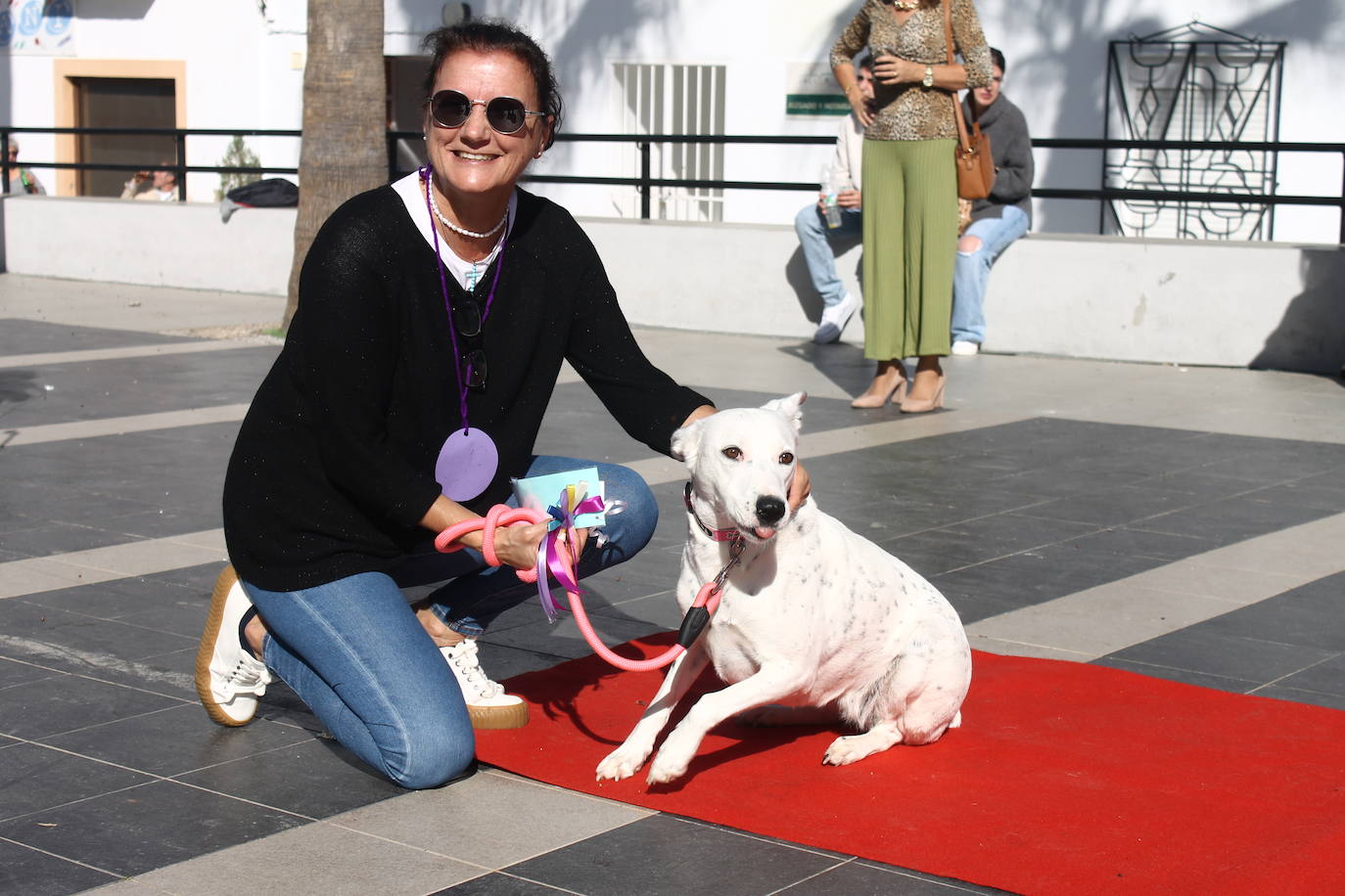 Fotos: III Desfile Canino