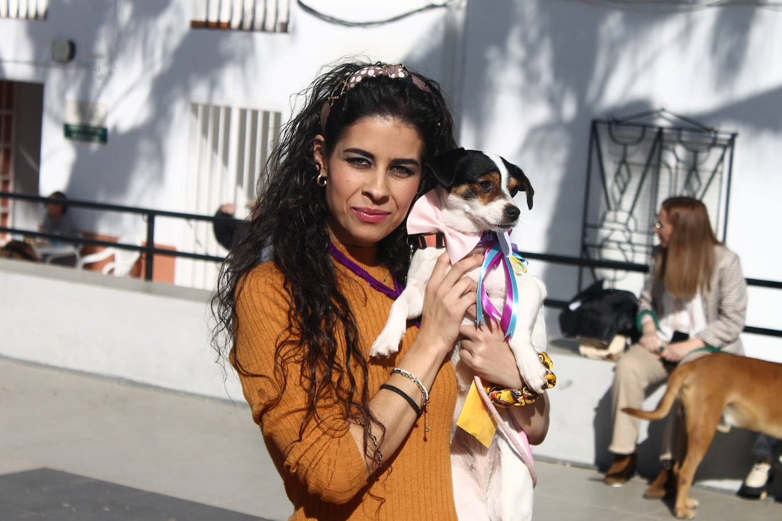 Fotos: III Desfile Canino