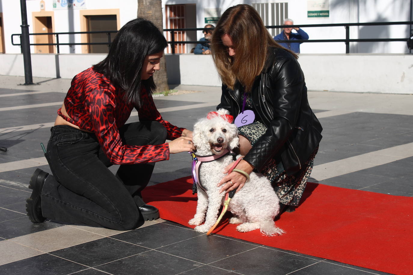 Fotos: III Desfile Canino