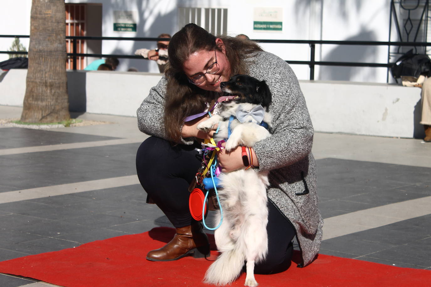 Fotos: III Desfile Canino