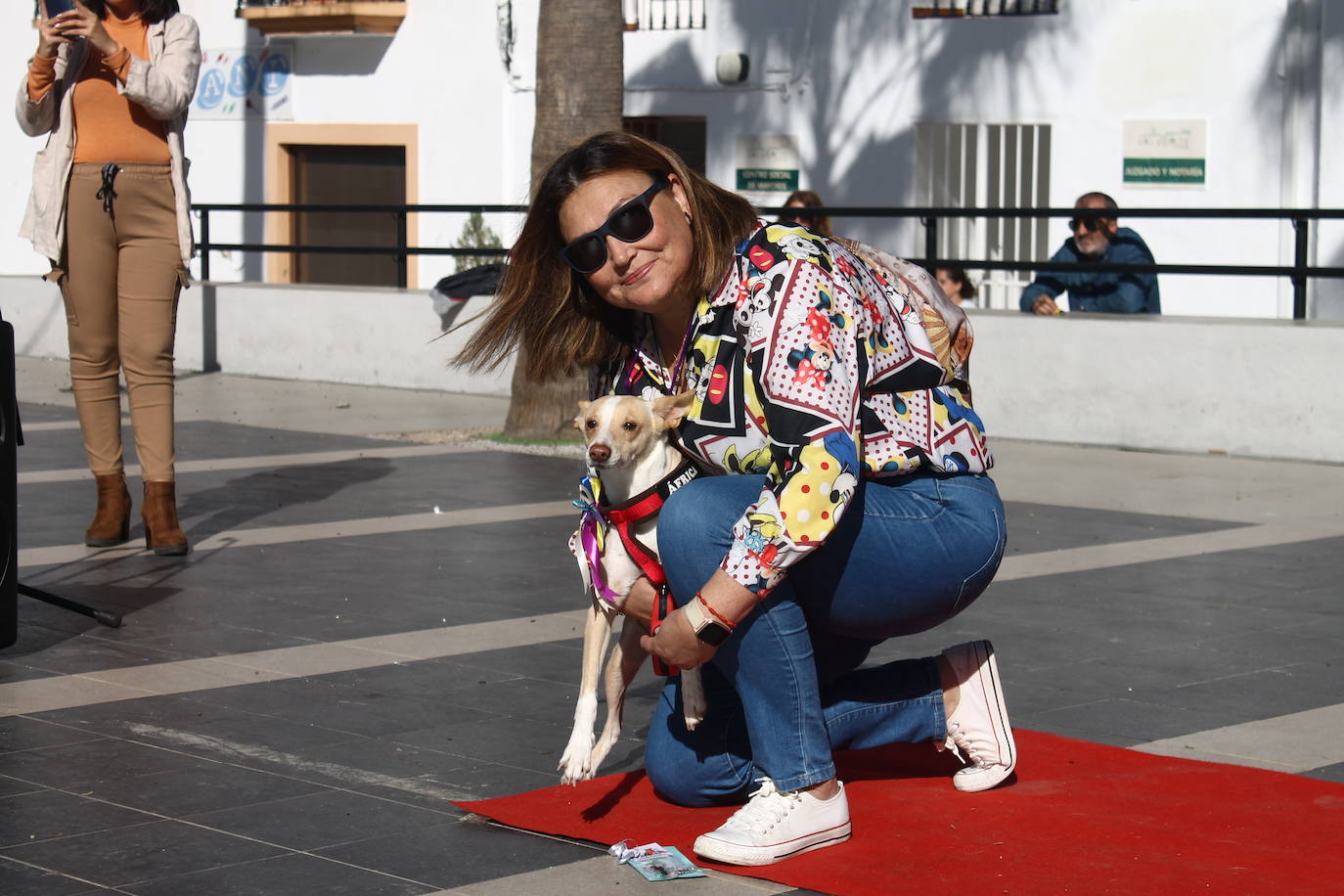 Fotos: III Desfile Canino