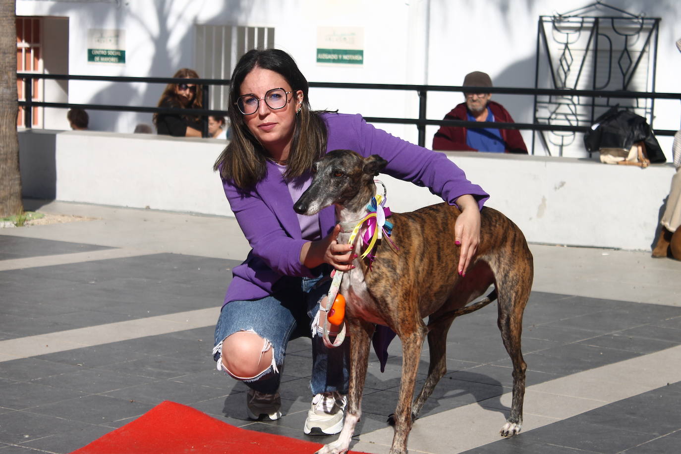 Fotos: III Desfile Canino