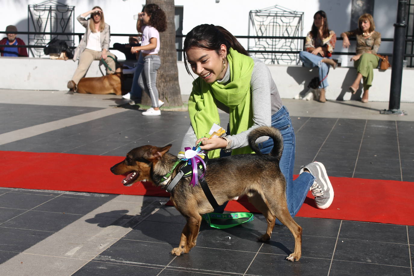 Fotos: III Desfile Canino