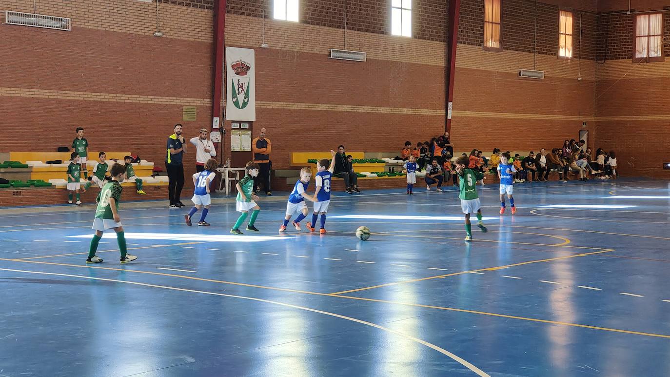 Fotos: Concentración Prebenjamín