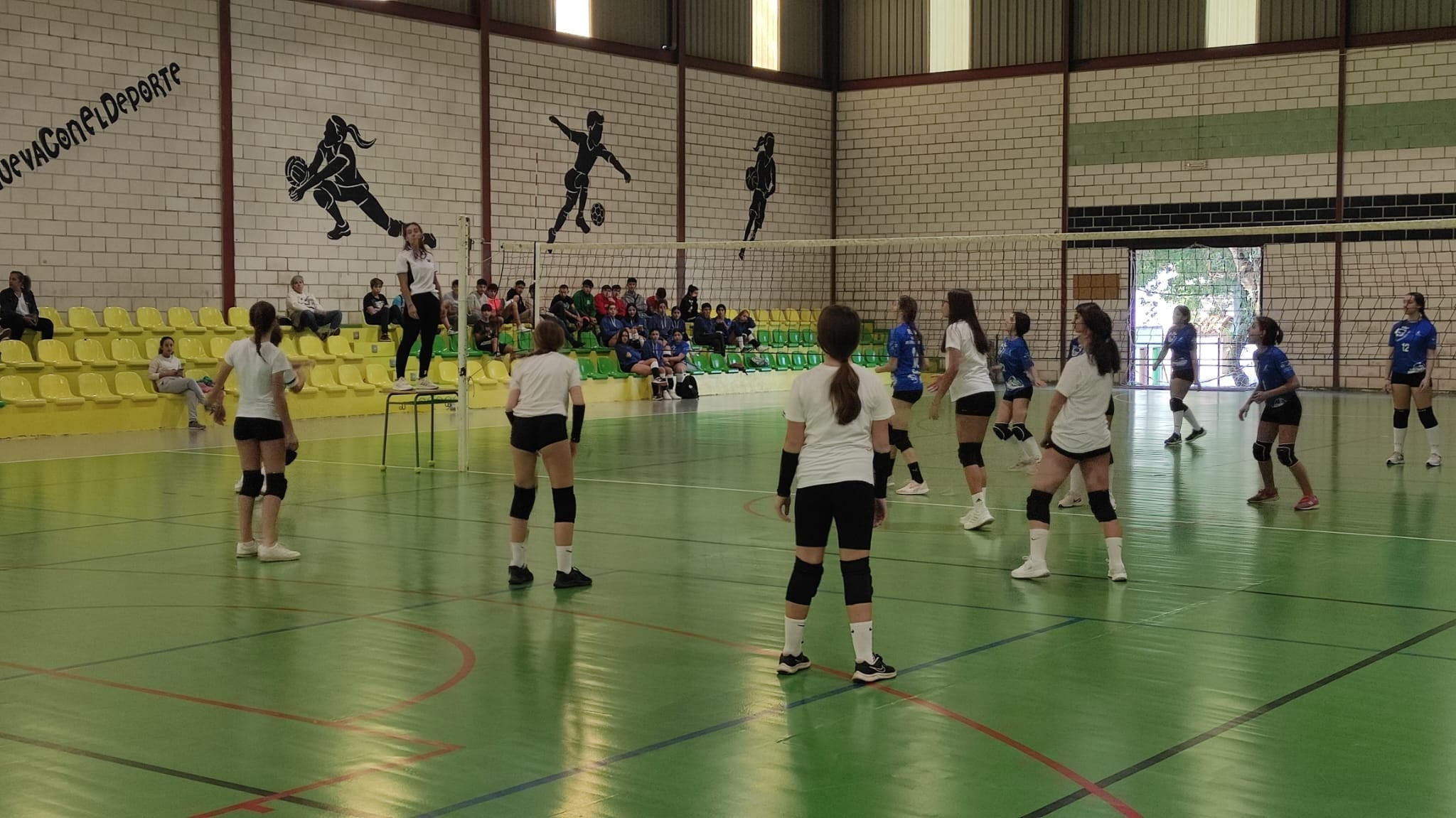 Voleibol: Los equipos de voleibol se estrenan en liga con derrotas