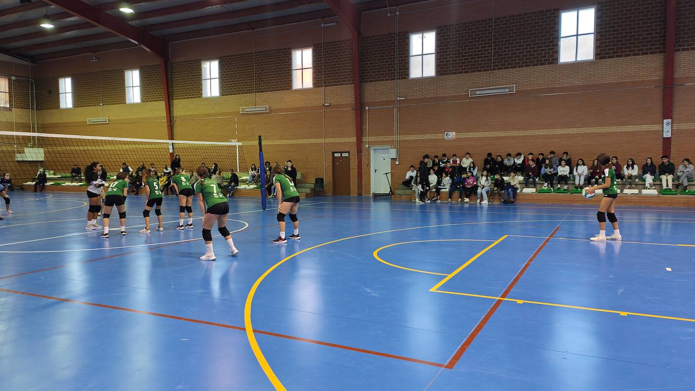 Fotos: Voleibol Infantil - FD Mérida
