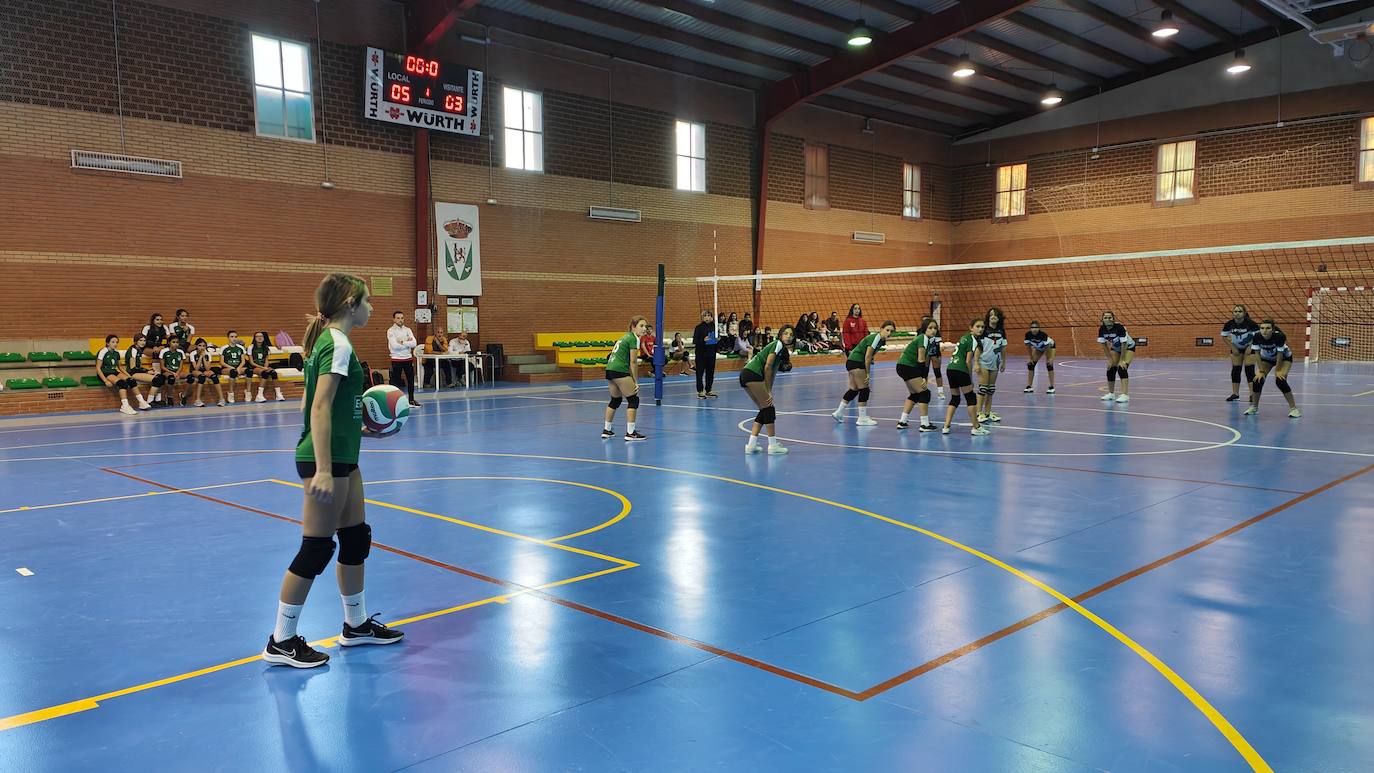 Fotos: Voleibol Infantil - FD Mérida