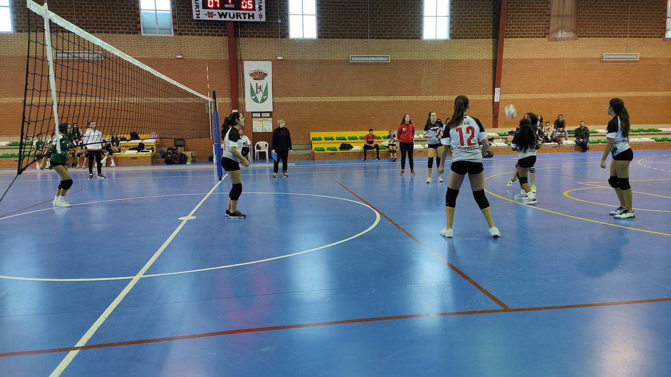 Fotos: Voleibol Infantil - FD Mérida