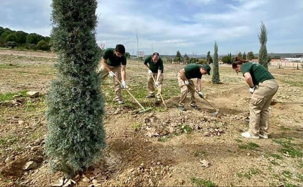 Actividades de un colaborativo rural