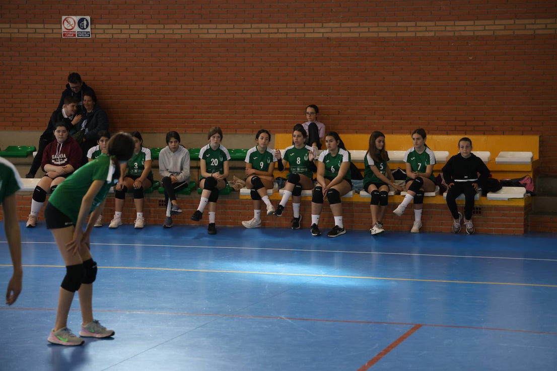 Mujer y Deporte (I)