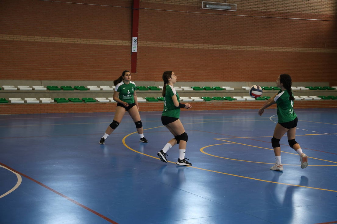 Mujer y Deporte (I)
